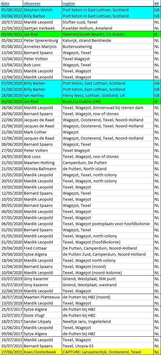 Stephen Welch tweet media
