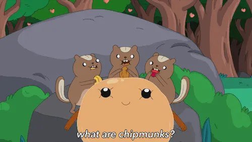 bratpetal's tweet photo. i am the epitome of bun bun from adventure time thank u https://t.co/hyUPLlgJHb
