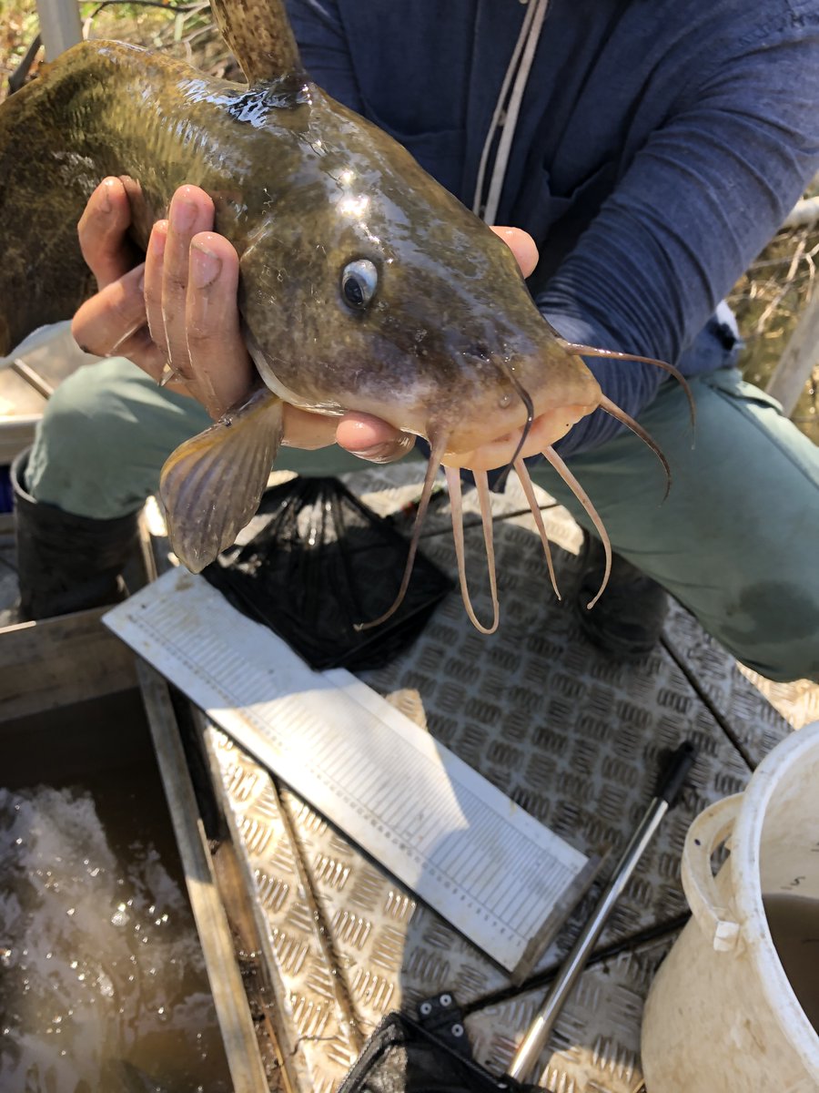 Finterest tweet media