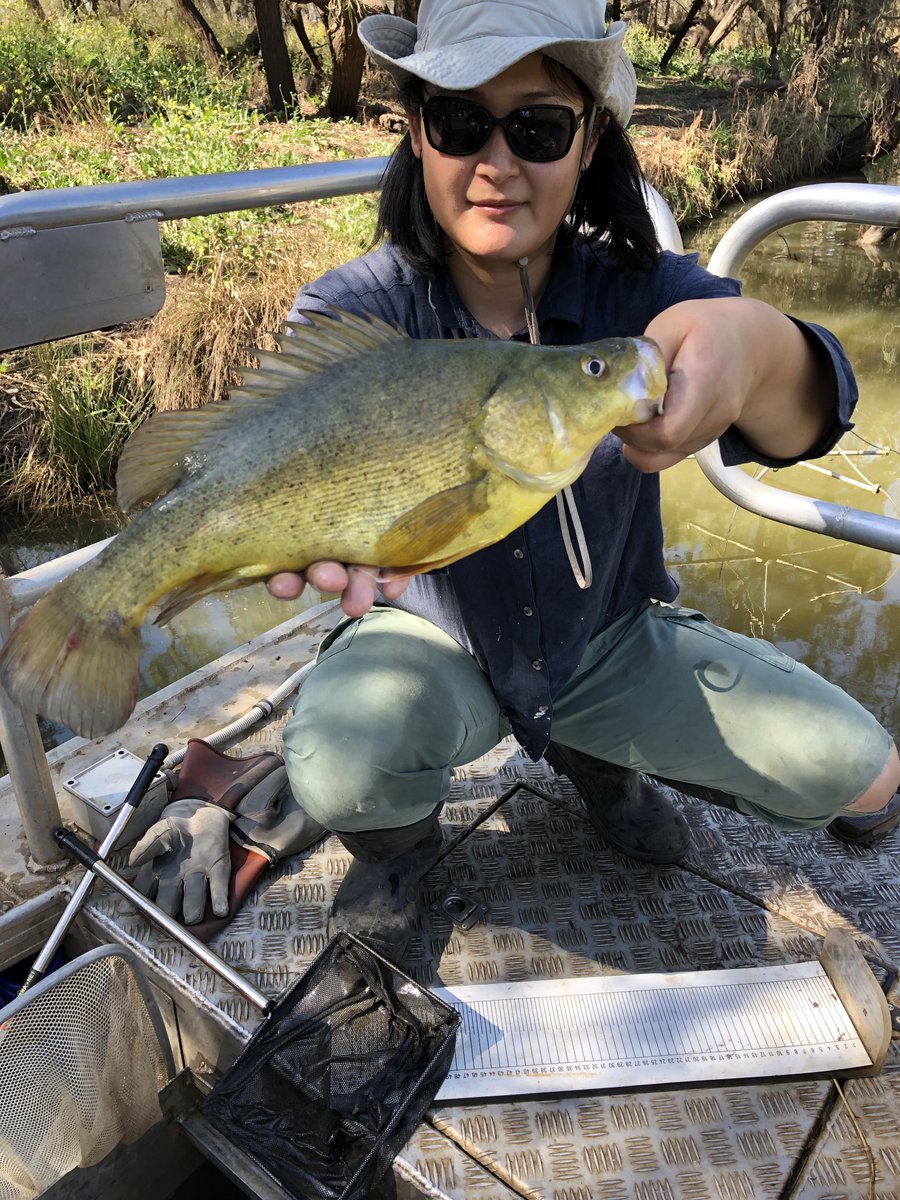 Finterest tweet media