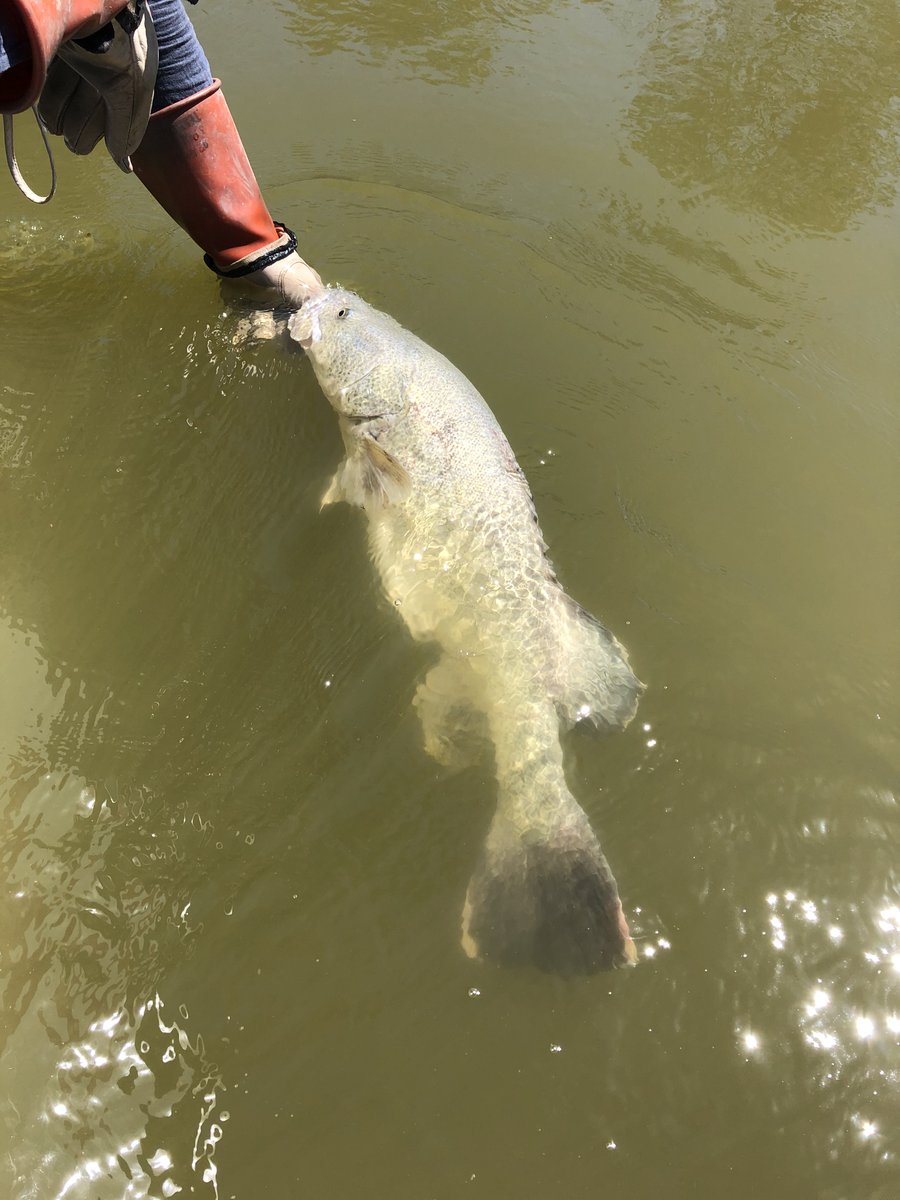 Finterest tweet media