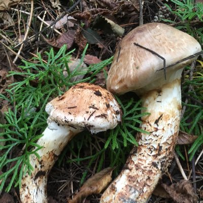 onochan56's tweet photo. #新しいプロフィール画像 https://t.co/3B1P2o4djH