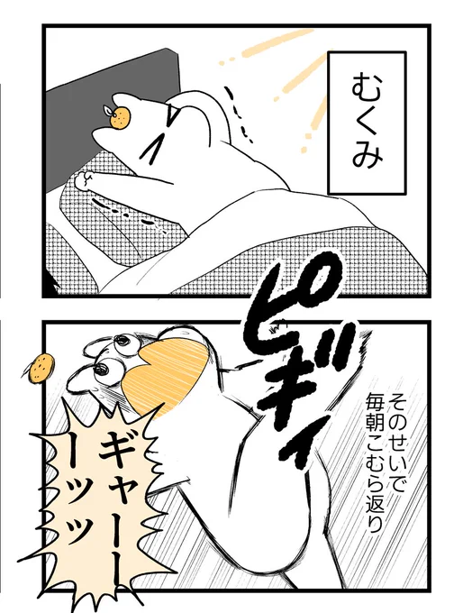 【第三章】つわりが怖くて2人目に踏み切れない話～妊娠後期編～1(2/3)

#漫画が読めるハッシュタグ #創作漫画 