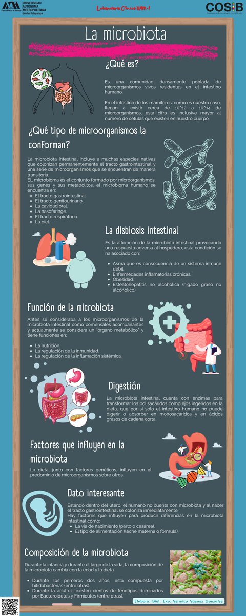 COSIB_UAMI's tweet photo. #Microbiota 🦠🦠

O también conocida anteriormente como “flora intestinal” es un conjunto de microorganismos que son beneficiosos para nosotros. #LaboratorioClínicoUAM🔬 https://t.co/MTVdyxvI5E
