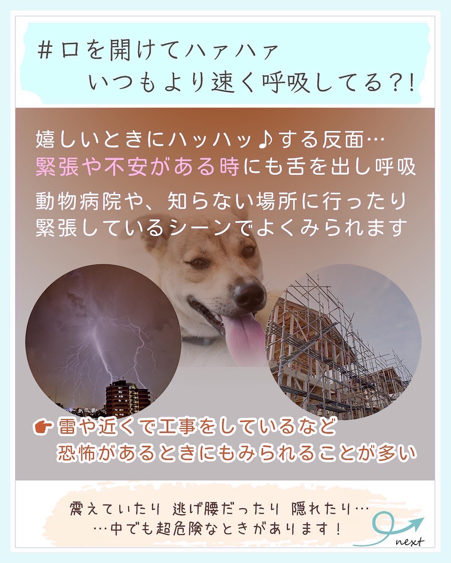 たからものショップ Takaramonoshop Twitter