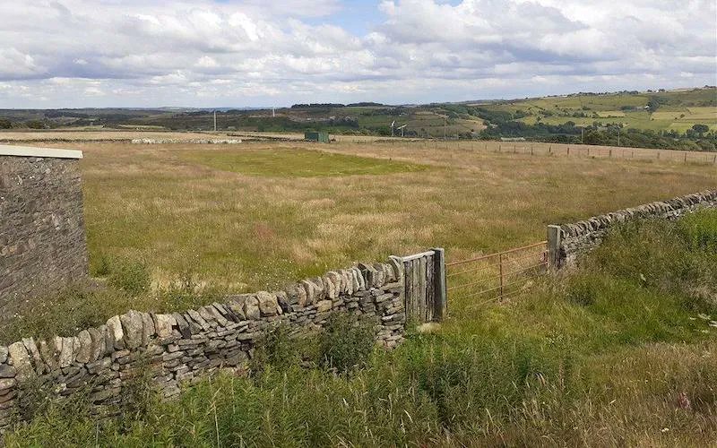 Cricket Yorkshire tweet media