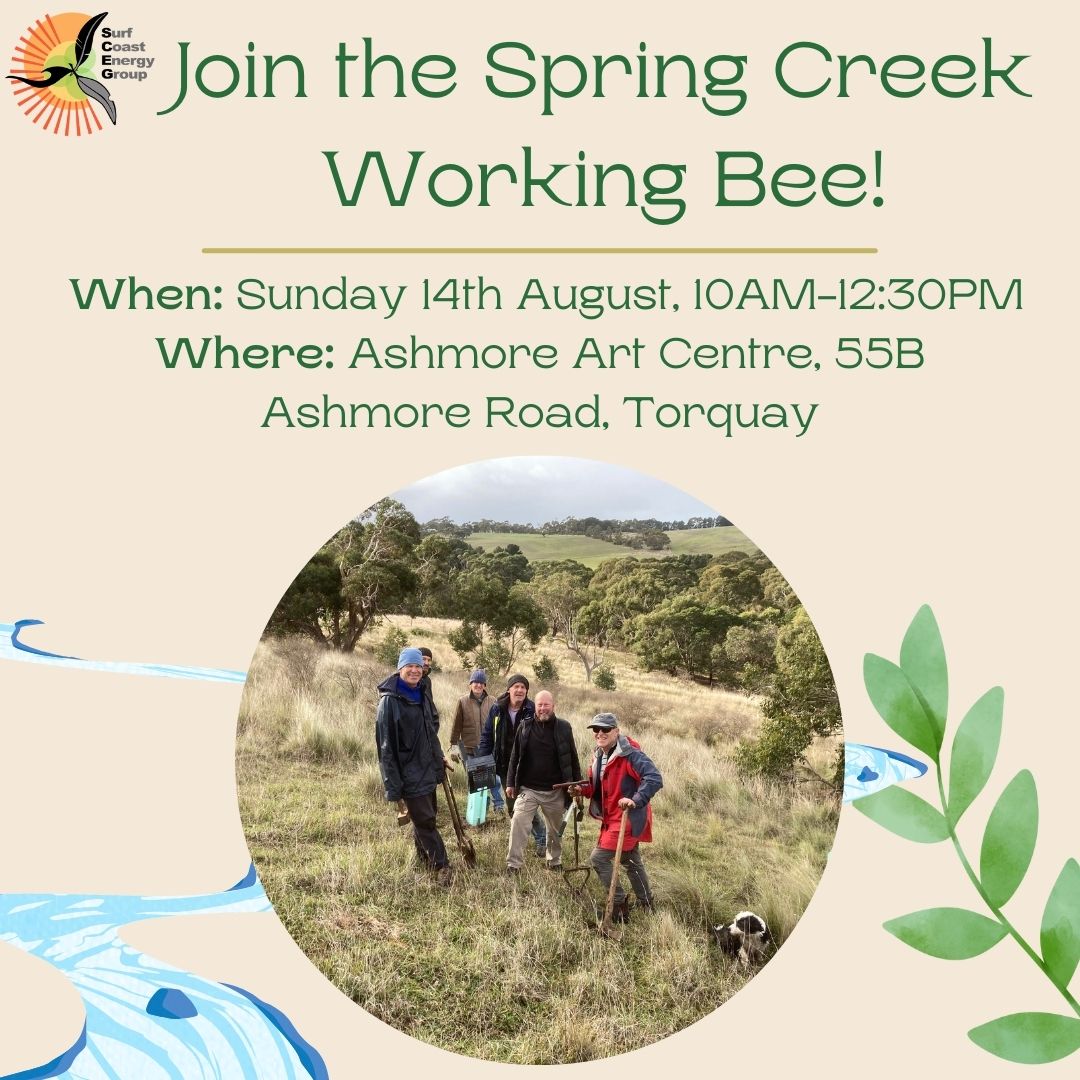The Surfers Appreciating Natural Environment (SANE) working bee is on this Sunday 14th August. All are welcome to join this important work of restoring the valley's ecology through weed control and planting. We'll meet at the Ashmore Arts Centre at 10AM.