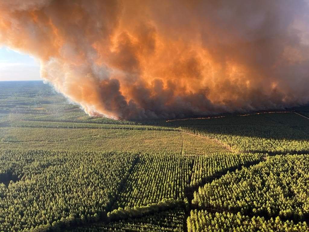 SecCivileFrance's tweet image. 🔥🌳 #FeuxDeForêt en Gironde : face aux flammes qui poursuivent leur progression dans les Landes, de nombreux moyens sont mobilisés.

🧑‍🚒6 colonnes de renfort en transit soit 300 personnels en soutien des 350 sapeurs-pompiers déjà engagés
🚒3 détachements d'intervention retardant