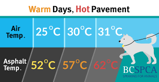 AdoptionsUk's tweet photo. Please retweet, hold the back of your hand on the pavement for 7 seconds, if it's too hot for your hand, it's too hot for paws!🔥🐾🔥🐾🔥🐾

#dogs #heatwave https://t.co/oCUcHfNq0I