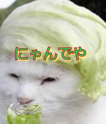 @MIYASITAnobot マンバズしとるやん💢😡 