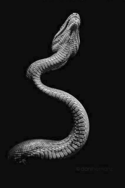archillect's tweet photo. https://t.co/fqGk3SrUfz