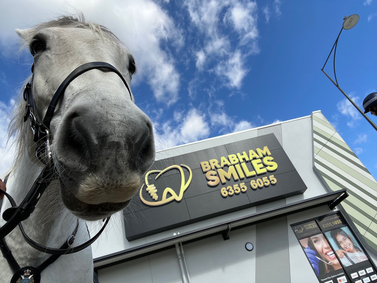 WA Police Force Mounted tweet media