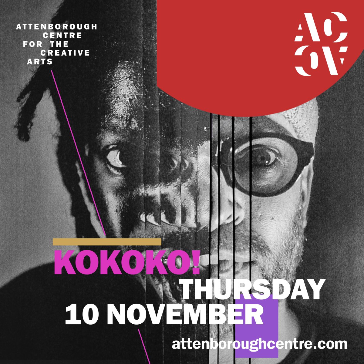 ACCA (Attenborough Centre for the Creative Arts) tweet media