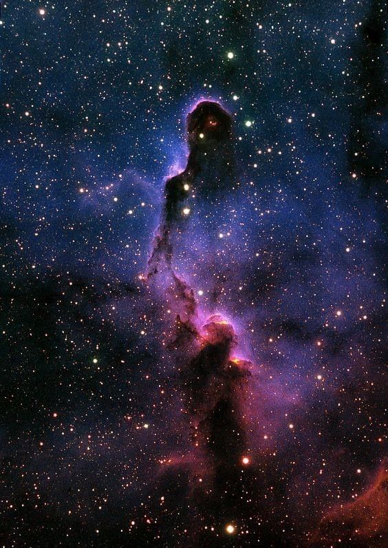 IC1396 Elephant Trunk Nebula in Cepheus #Nebula #Space