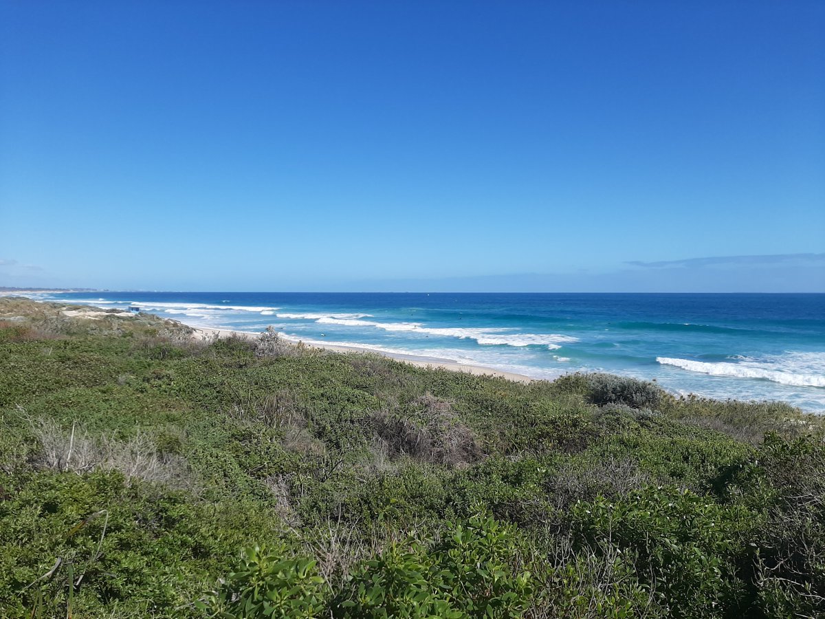 Zijn er nog NL SEH artsen die interesse hebben in een jaar werken op de grootste SEH van West Australie met 350 patienten per 24 uur, goed opleidingsklimaat en alle categorien patienten zelf zien? Ik kan het echt iedereen aanraden en hier zoeken ze altijd Emergency Registrars.