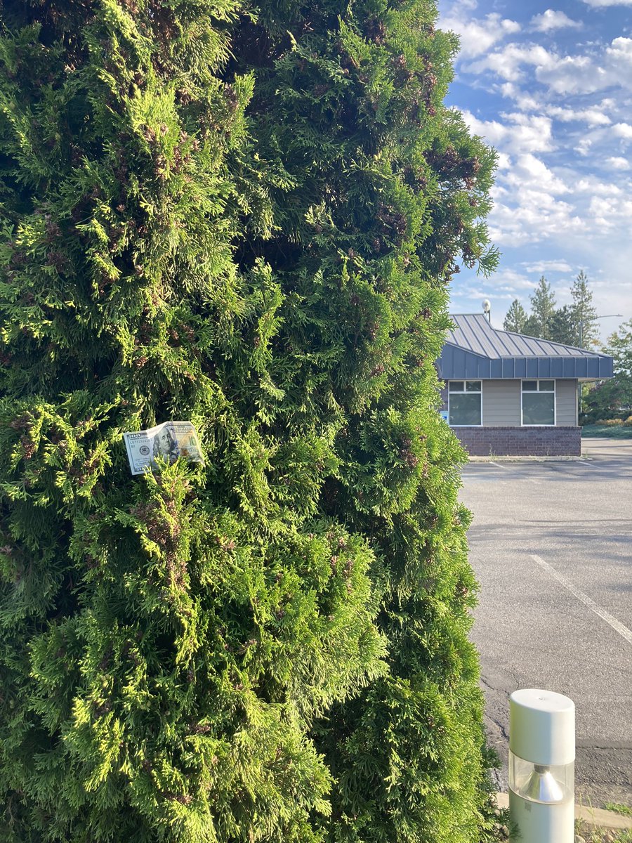 CDA Give Away tweet media