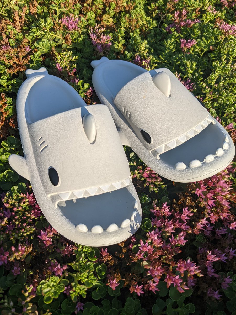 ShantyShark's tweet photo. MamaVale and I rocking the slides. You ever wanted to let two lil sharks chomp on your toes everywhere you go? Cuz you can.
#sharkslides #raawr #twinsieswithshanty https://t.co/KYreZF27wT