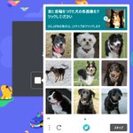 「私はロボットではありません」の画像が!犬ばかりで最高だった!