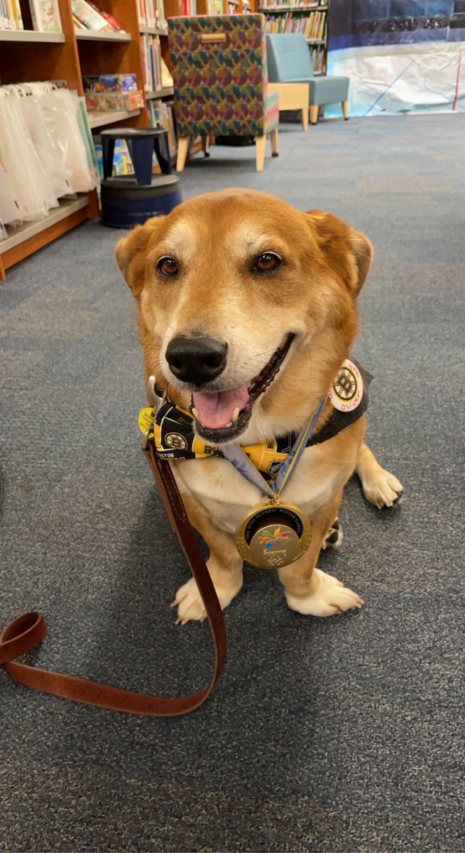 Olliemutt's tweet photo. Therapy Dog Oliver 🐾loves helping the Mass Library Commission 📖 &amp; #nhlbruins 🏒summer reading program “When you read you score” along with old friend First Lady Lauren Baker &amp; Olympian / Boston Pride Colleen Coyne 🥇🏒 &amp; Blades 🐻 #library #summerreading #community https://t.co/Lm7COpN9Nj