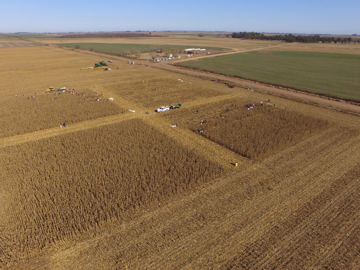 Excelente Jornada. Más de 380 ediciones de la <a href="/LaCHOCLEADA/">LA CHOCLEADA</a>. 🌽Más de 130 chicos comprometidos con esta acción solidaria que transmite tantos valores👌 Muchas gracias a <a href="/MovilizaRSE/">MovilizaRSE</a> y Establecimiento La Negra x darnos esta oportunidad! 
Estancia El Verdún General Viamonte ♻️