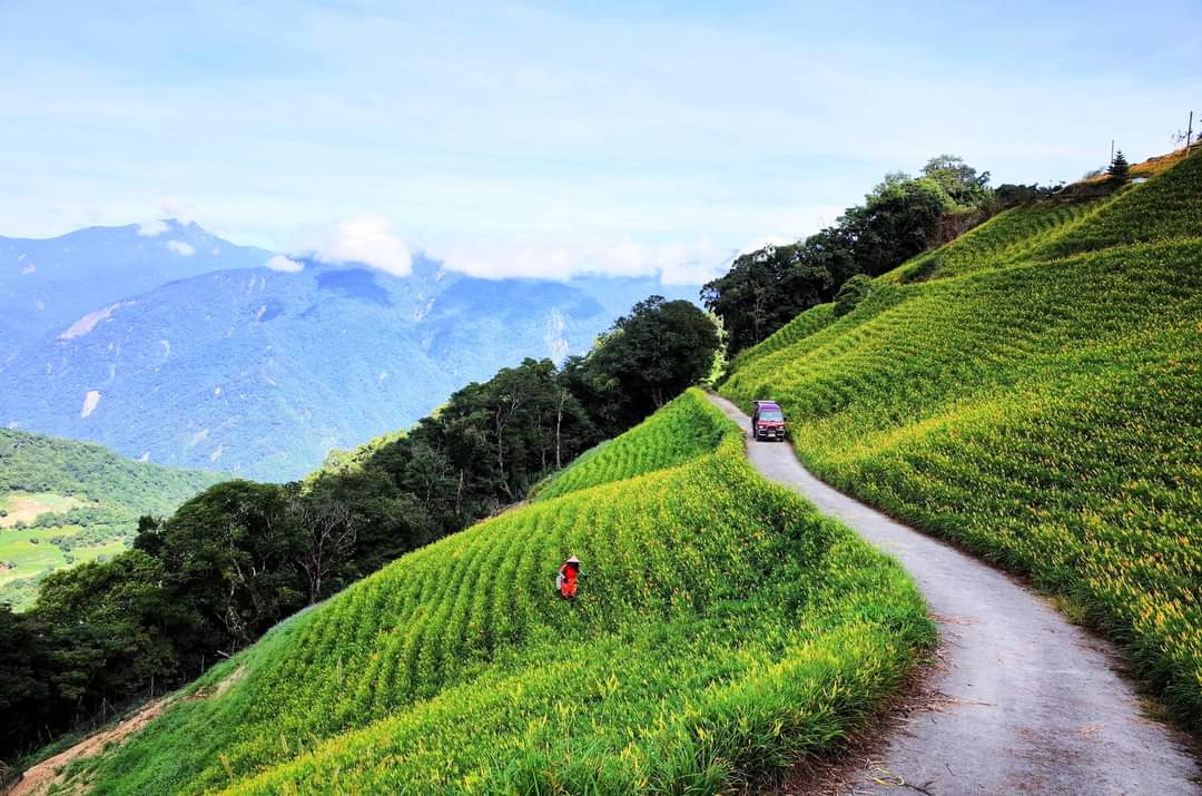 taiwanmag's tweet photo. #Taiwan #taiwantravel #iseetaiwan #taiwanlife #taiwanfood #viewtaiwan #rencontrertaiwan #alishan #taiwantrip #taiwan1 #taiwantea https://t.co/0jtJtXkoL1