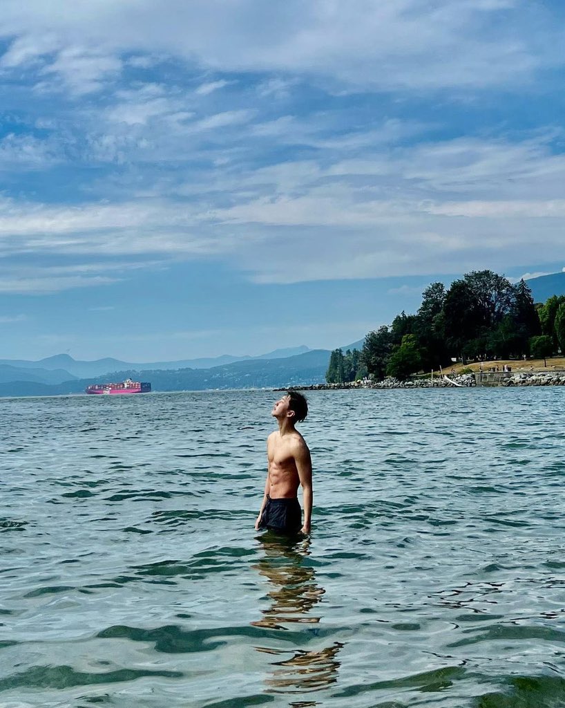 호시 아카이브 tweet media