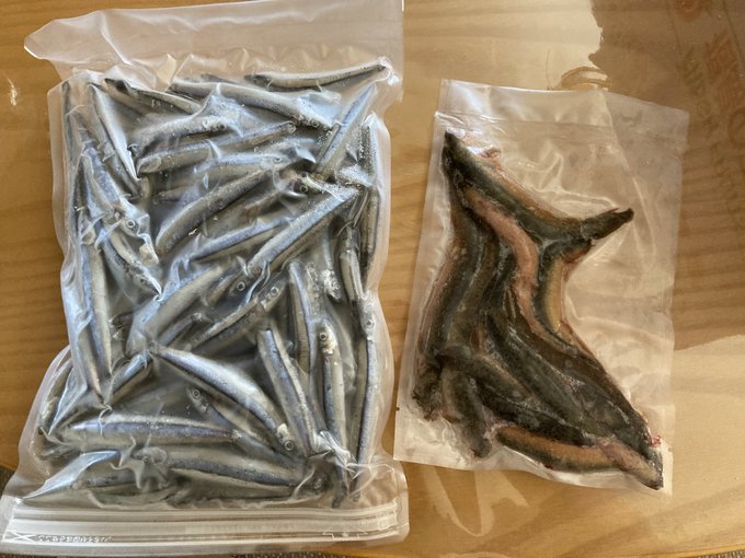 うなぎ どじょうの大河