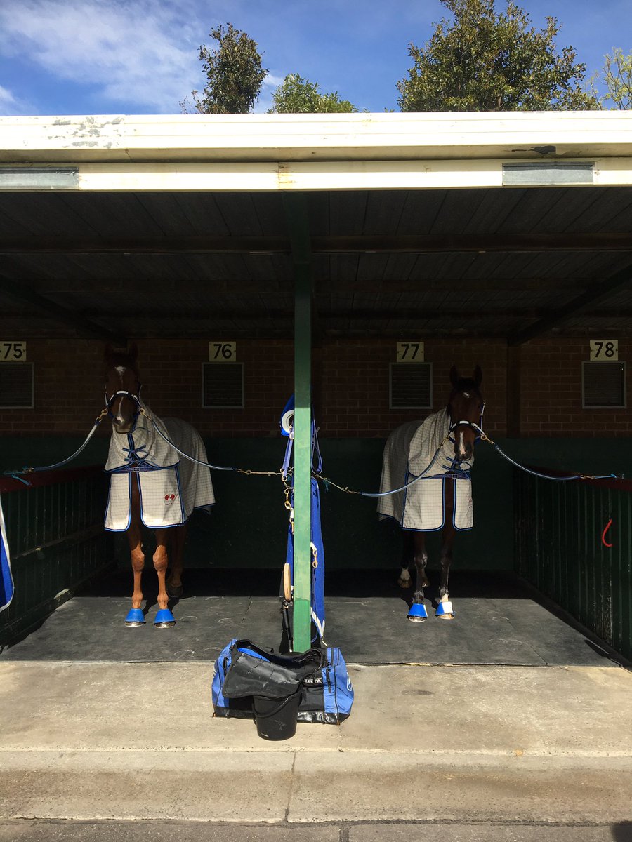 Red and Tavi all ready for a big day 🤞<a href="/CarrSiggy/">Siggy Carr Racing</a>