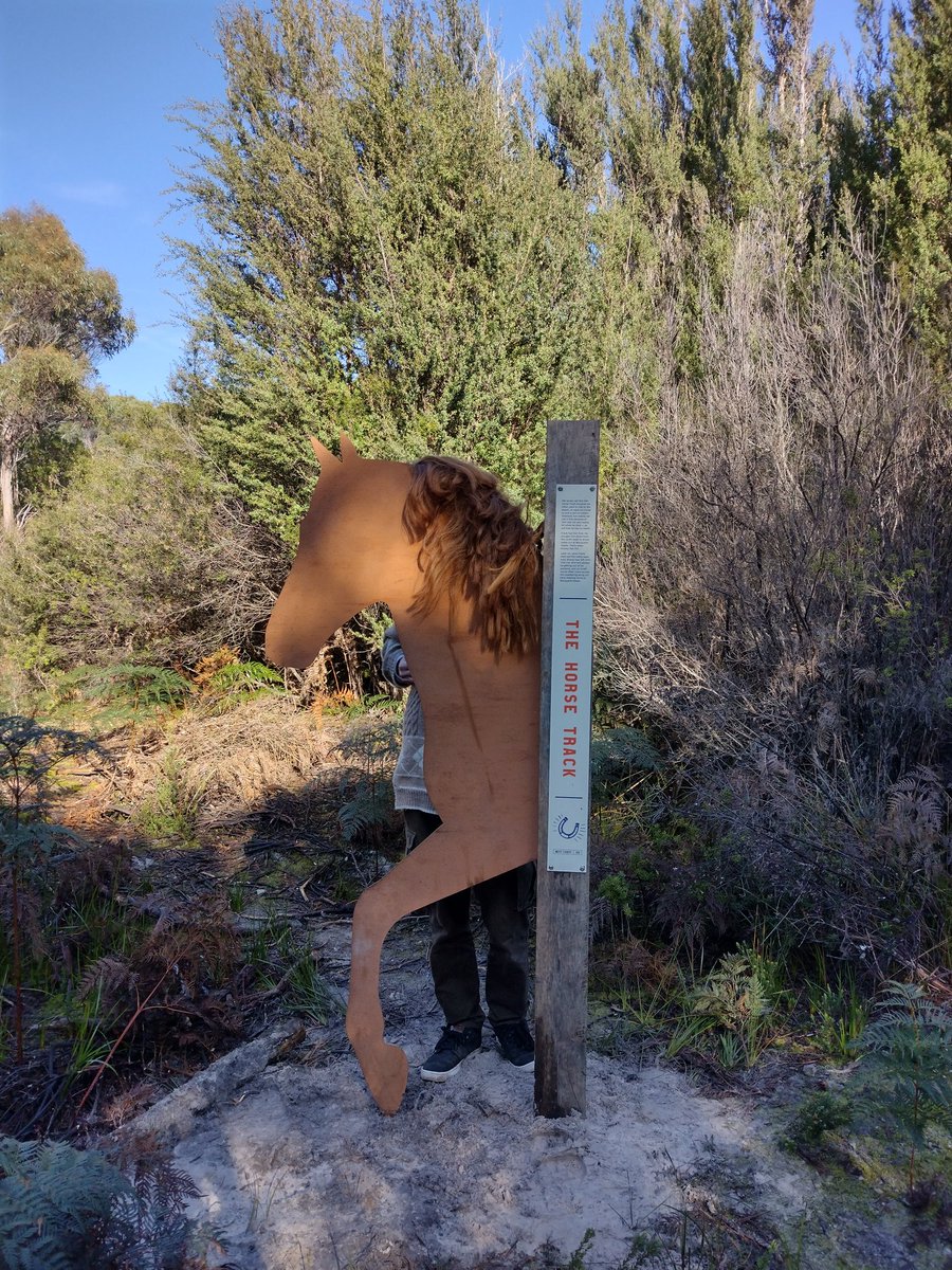 Friends of the Henty and PWS today helping Active Strahan finish their Ocean Beach Trail project by putting up some informative signs. What once was a weedy 4WD track and garbage dump is now a beautiful trail and great example of West Coast Vegetation thanks to both groups.