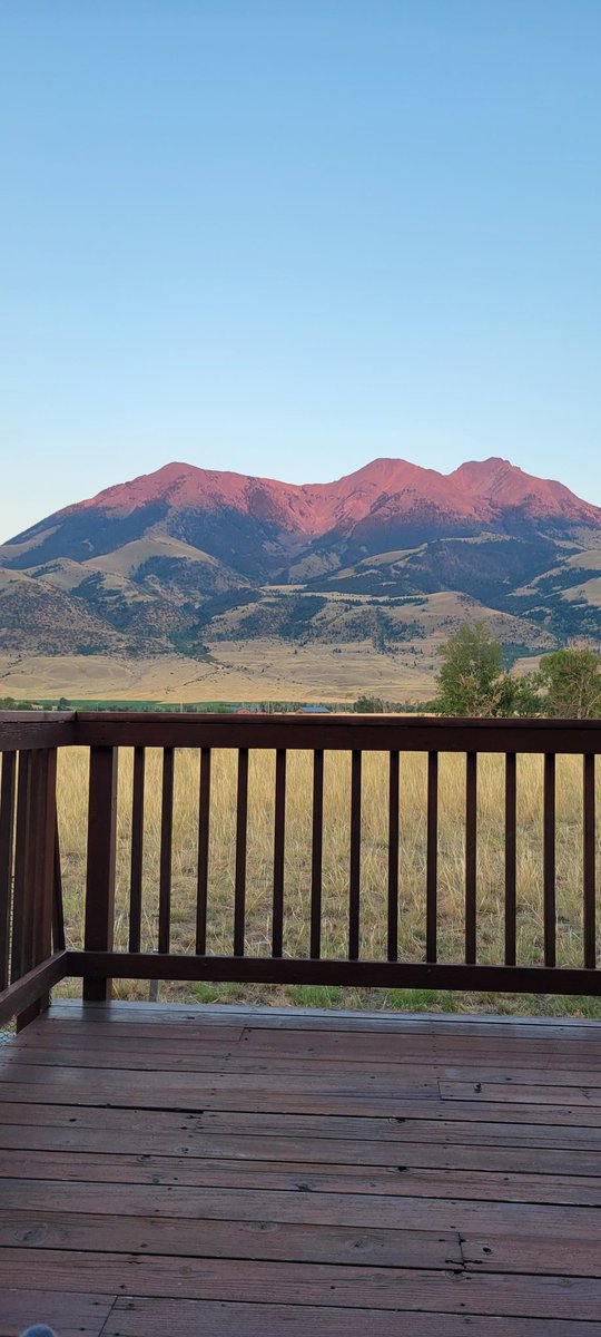 Michael Taylor tweet media