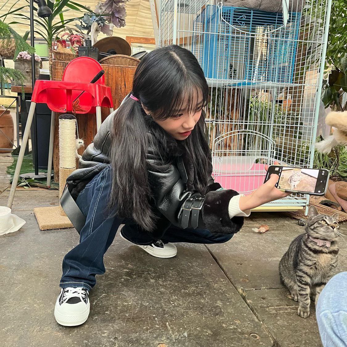 pi9_ny's tweet photo. ユリとヌコ これについて考えてる https://t.co/O1QSmpCBsi