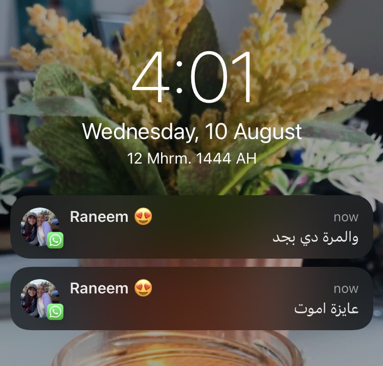 -واتساب الناس كلها ليلة الامتحان: صور و اسئلة و تجميعات 
-الواتساب عندي: