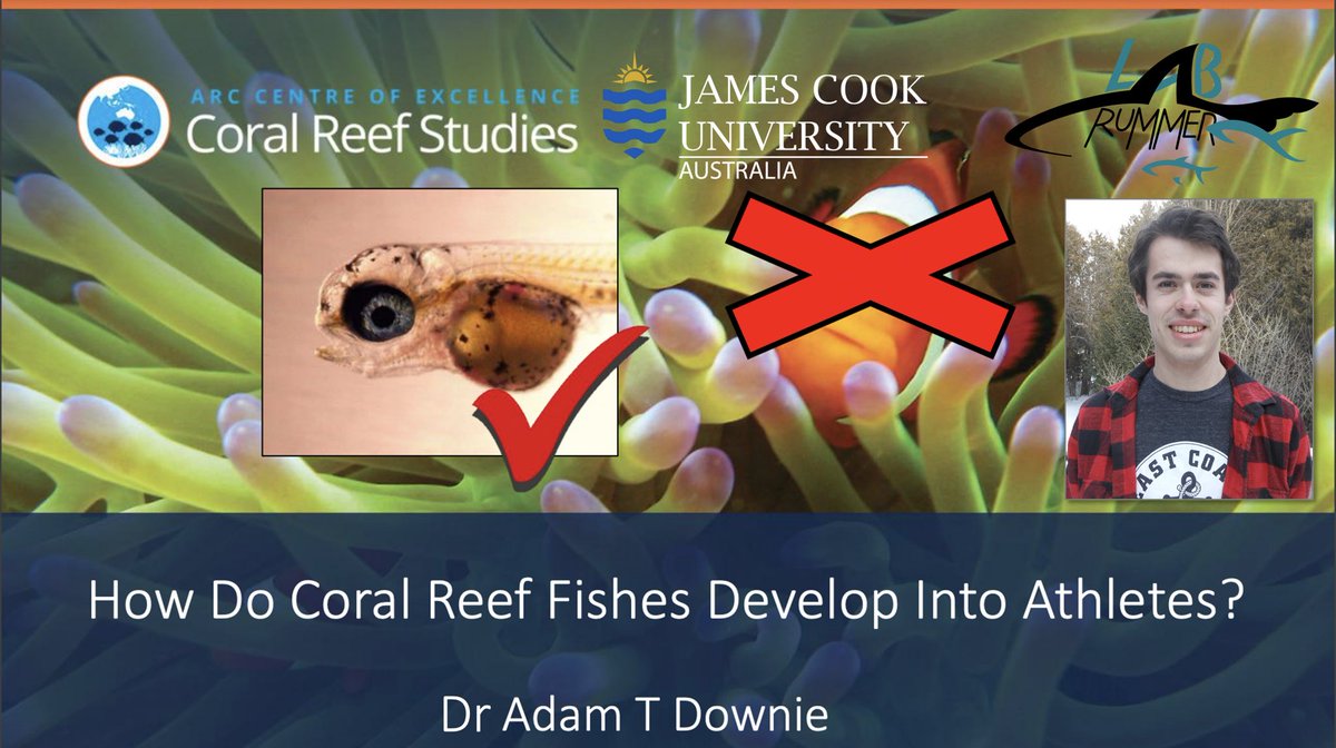 physiologyfish's tweet photo. It’s an honour to congratulate one of our very own #RummerLab #PhD, Dr. Adam Downie @AdamDownUnder - as a recipient of the 2022 Dean's Award for Higher Degree by Research Excellence here at @jcu @CoralCoE - so proud! https://t.co/8sHcA3MJBF