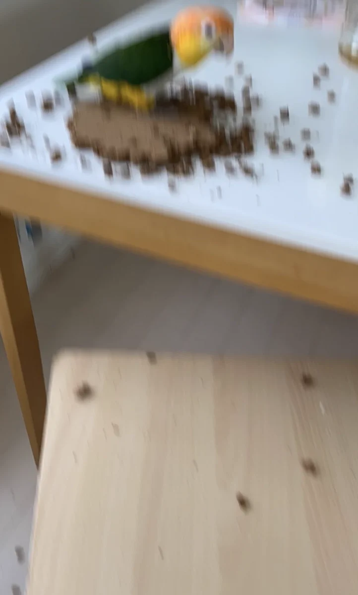 飼っている小鳥ちゃんに…鍋敷きをボロボロにされた画像！