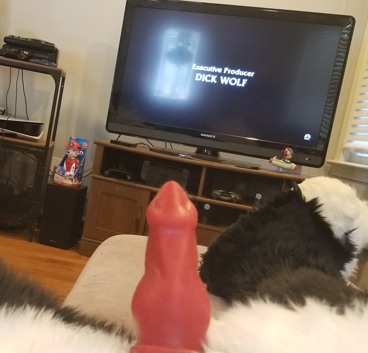 My two favorite things. Wolf dick and Dick Wolf.

("But aren't you a collie?")
Shh, let me have this.