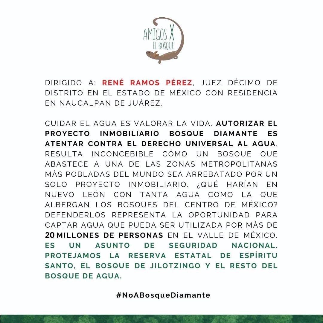 bosque_amigos's tweet photo. Estamos a poco tiempo de que el #Juez10ºdeDistrito dicte la sentencia final, es momento de no bajar las manos y manifestar y difundir que estamos totalmente en contra del beneficio económico de unos cuantos a costa del bien común y el de la naturaleza. 🍃

@Pronaturamexico @CEMDA https://t.co/5jSHMzXz9K