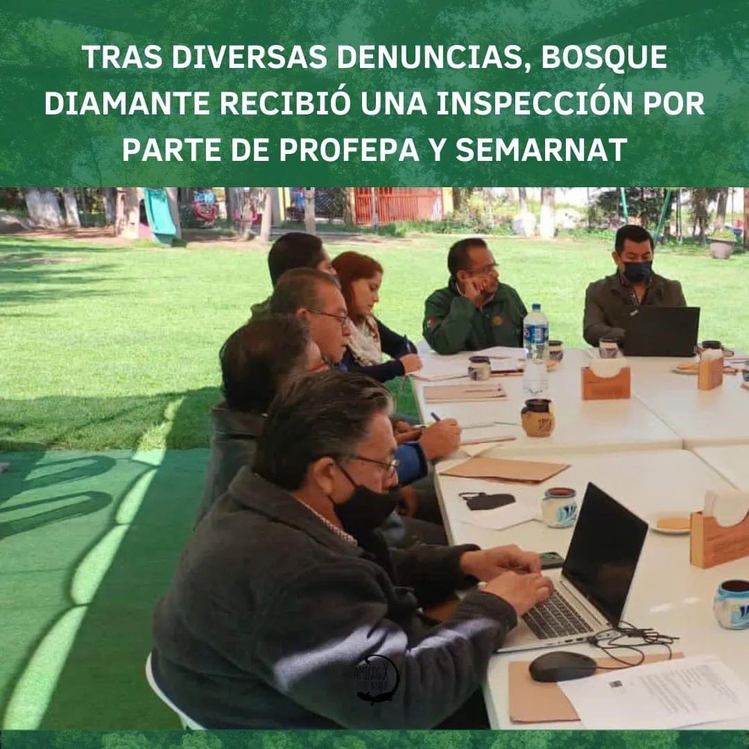 bosque_amigos's tweet photo. Estamos a poco tiempo de que el #Juez10ºdeDistrito dicte la sentencia final, es momento de no bajar las manos y manifestar y difundir que estamos totalmente en contra del beneficio económico de unos cuantos a costa del bien común y el de la naturaleza. 🍃

@Pronaturamexico @CEMDA https://t.co/5jSHMzXz9K