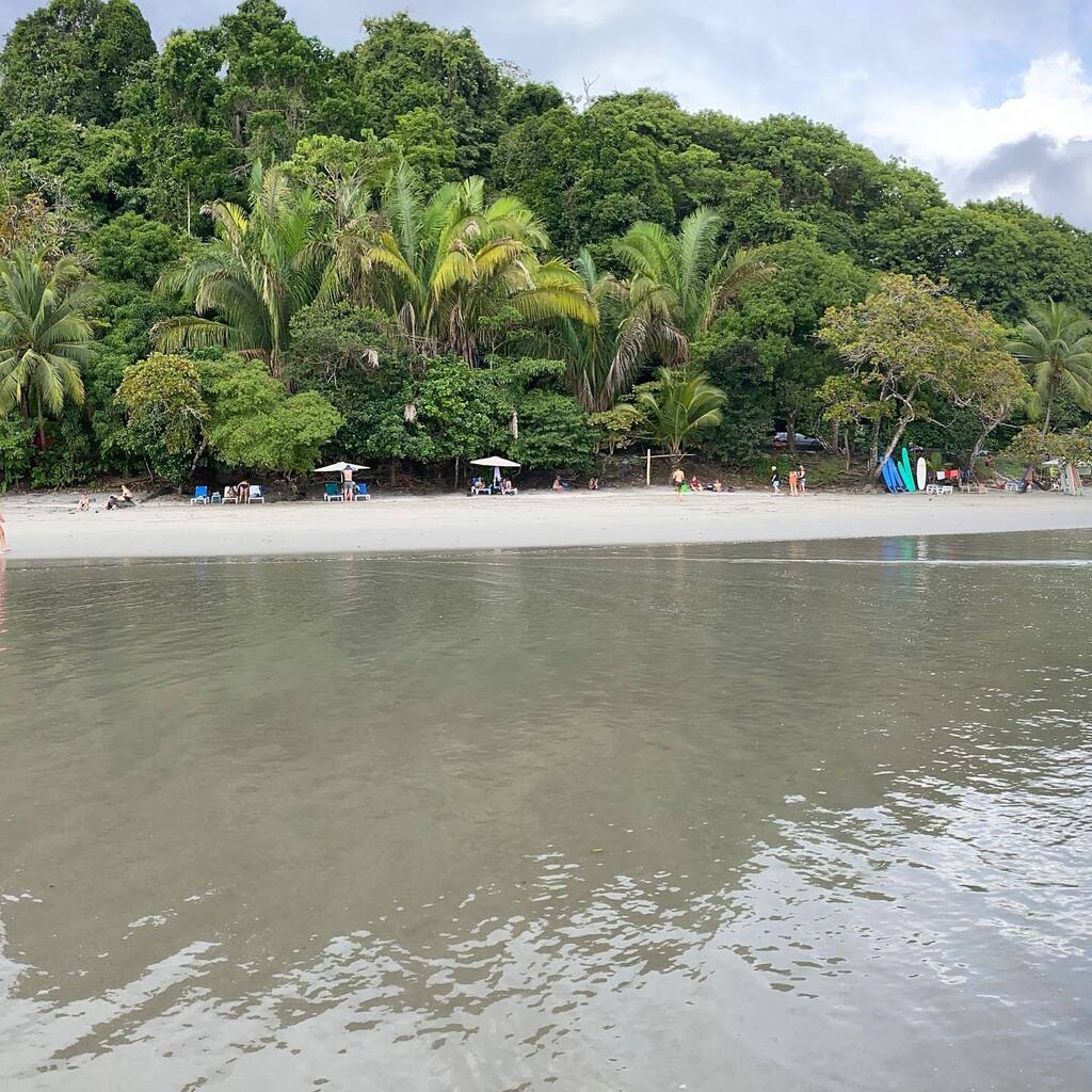 visualmerc's tweet image. August 09, 2022 at 10:37PM the #jungle spilling into the #pacific #ocean 
🌊🌴🌴🌴
#manuelantonio #lowtide #costarica #amazing #panorama #nofilter instagr.am/p/ChD_5IqMdXd/