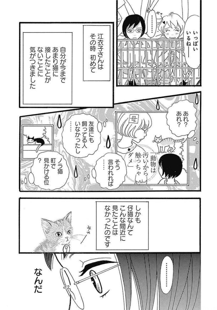 はじめての猫 2人編 | porcelyana.com.ua