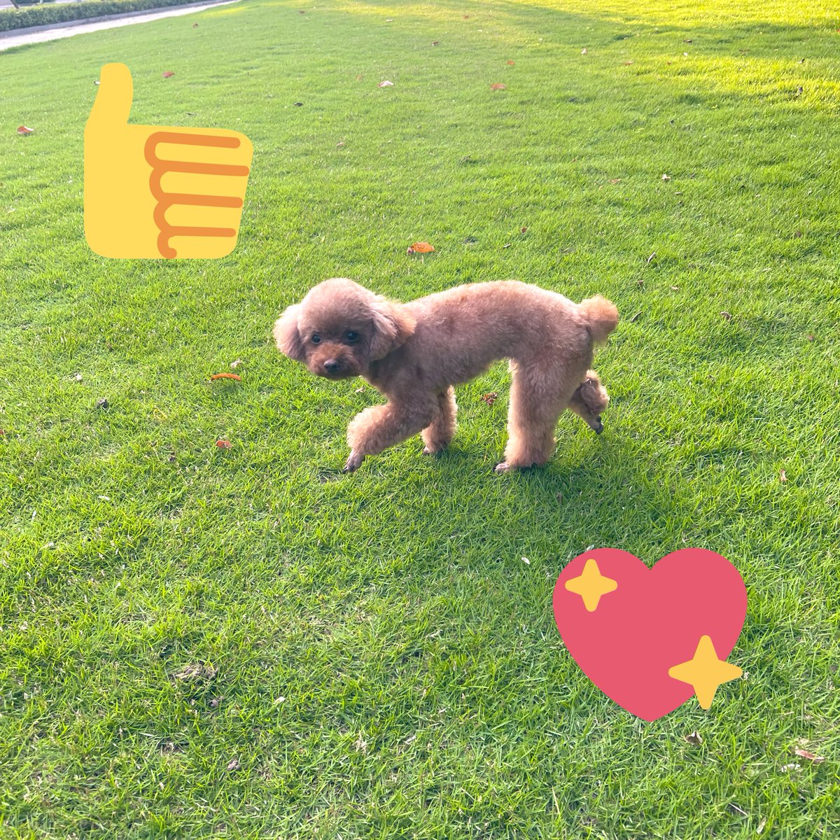 We love #walking 💜 Buy #WALK #WALKFI on #Metamask with #MATIC easily 👍

$WALK TOKEN ADDRESS
0xaa5529cdf5a8efcb3fa161e3c12bbb015f9889cd

We are #Meme Community #MoveToEarn