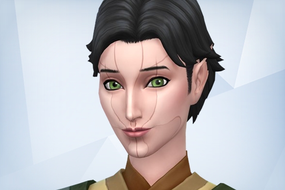 Pocketpnuts's tweet photo. It's a Keeper's job to remember. Even the dangerous things.
#Merrill #DragonAge #Simified #Pocketpeanuts https://t.co/baKCZsppct