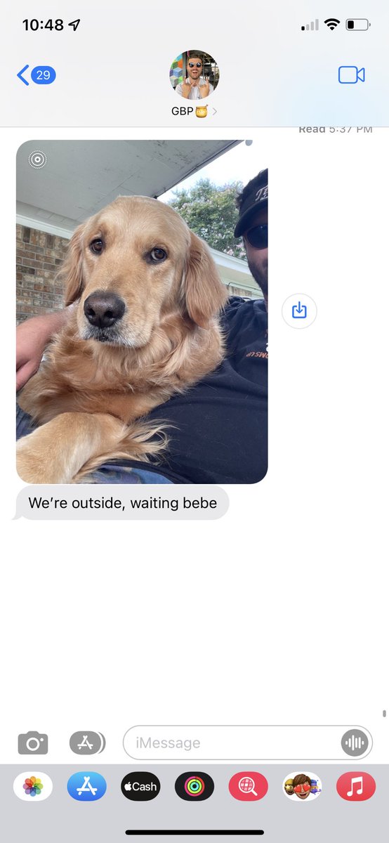 tayloreamy's tweet photo. The kind of text I love seeing on my way home from work 🥹 

look at that handsome chicken tender https://t.co/0Rn6X1Uurr