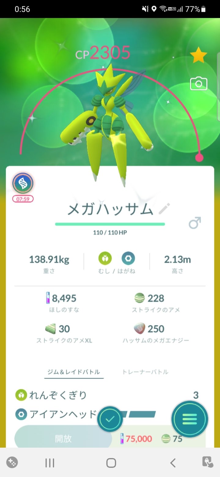 色違いハッサム Twitter Search Twitter