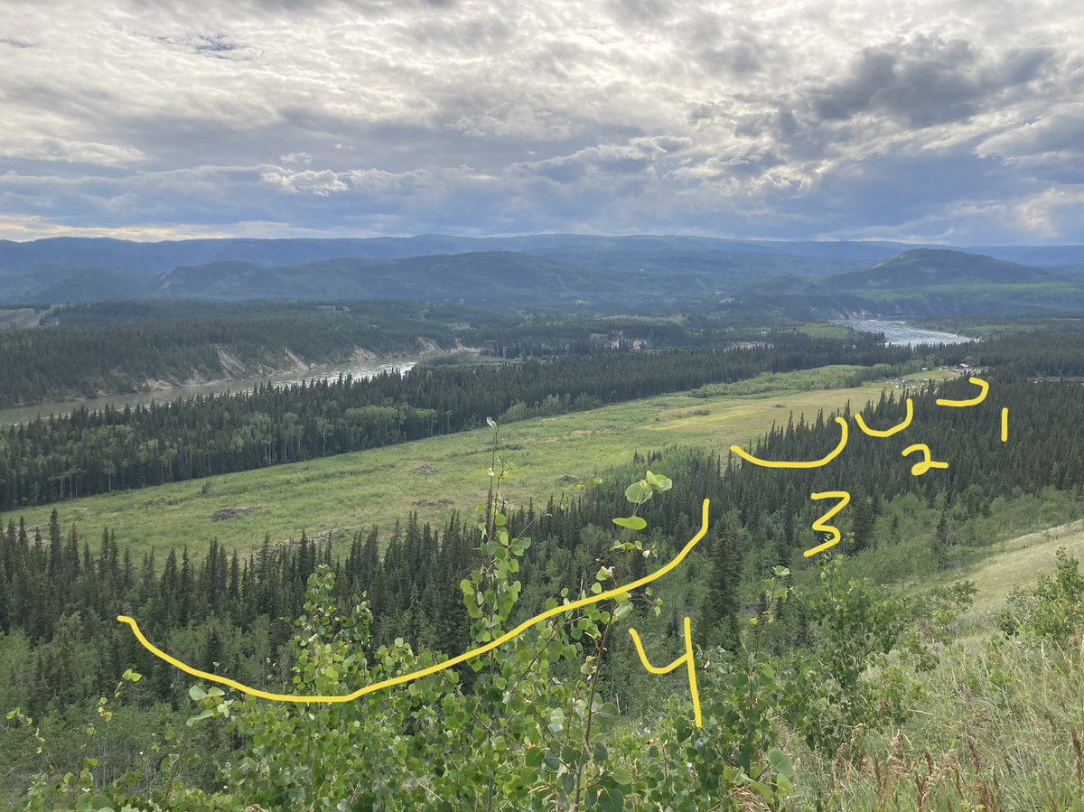 LeanderCampbell's tweet photo. #TwitterlessPatrick surveying a cleared plot of land along the Yukon River north of Carmacks.
We broke it down in to 4 parts:
1-Pasture
2-Forage
3-Fallow: a mix of old forges and weeds, not active now
4-Abandoned Ag: cleared land that was Ag, now shrubs
#Yukon #CdnAg #cropmap22 https://t.co/vCpljPQFIc