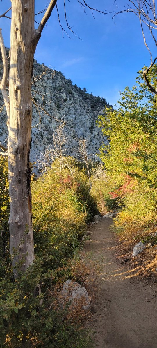 Edgar McGregor tweet media