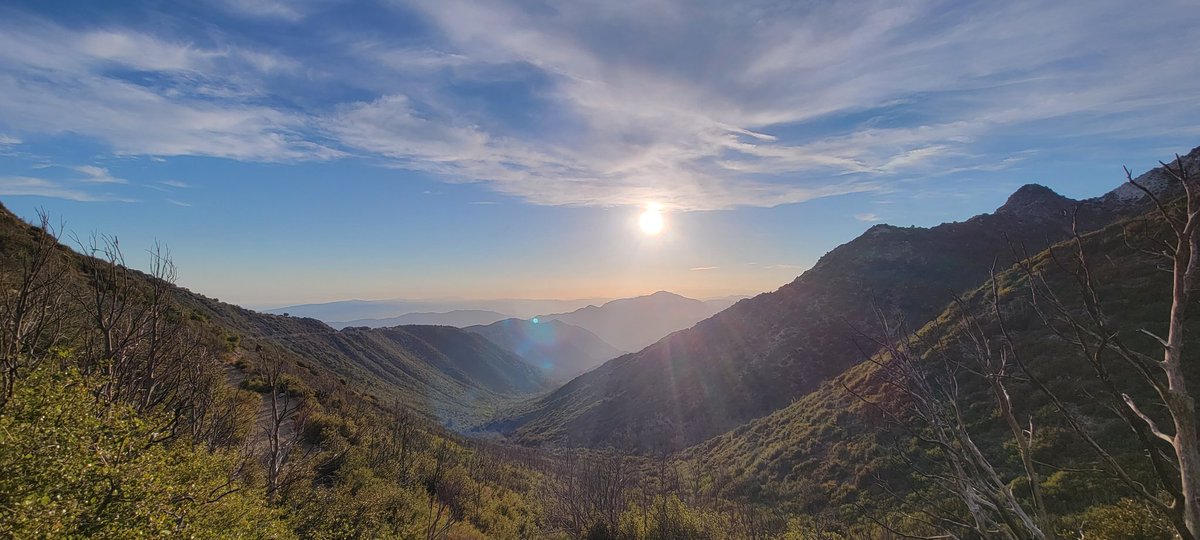 Edgar McGregor tweet media