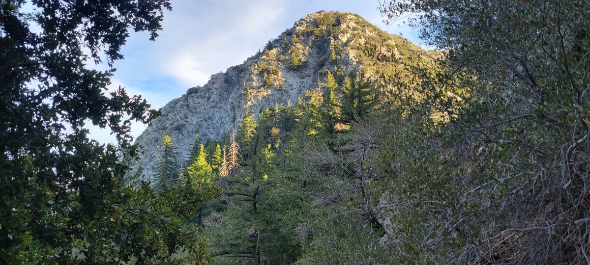 Edgar McGregor tweet media