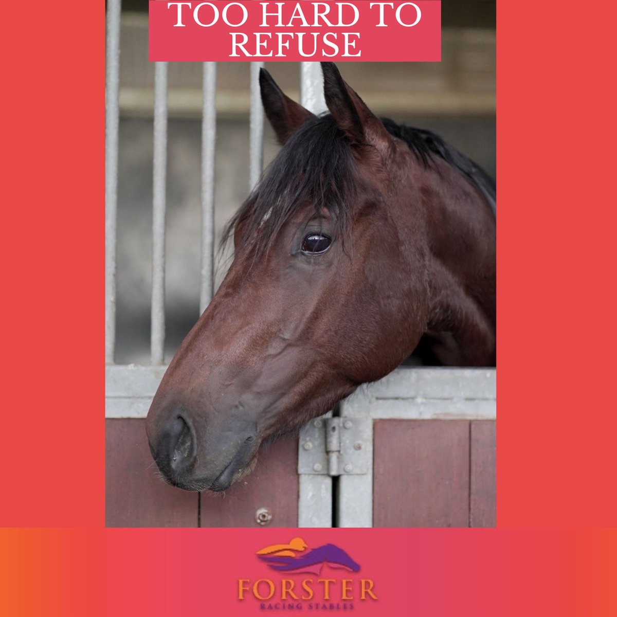 Everyone is enjoying the sunny Ekka day public holiday and we have two great runners at Doomben. 
Utah Nash - R2 QTIS 3-Y-O Fillies Maiden Hcp - 1:42pm
Too hard to refuse - R3 QTIS 3-Y-O C&amp;G Maiden Hcp - 2:18pm

Have a great day everyone