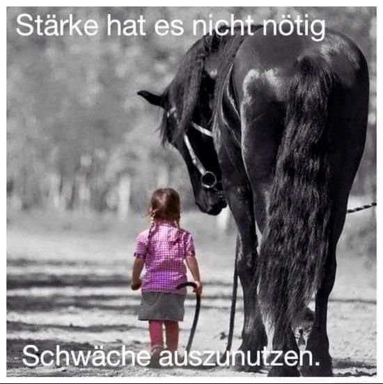 foidal2011's tweet image. 