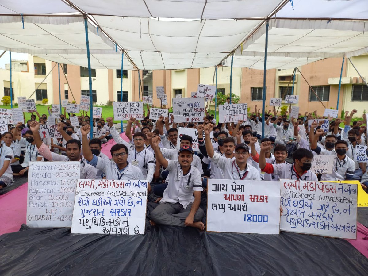 Strike day 9...
एक रात में सरकार बन जाती हैं!
एक रात में नोट बंदी हो जाती हैं!
फिर नौ दिनो से बैठे इन पशु चिकित्सको की पुकार क्यों नही सुनी जा रही हैं..
shameful😡
#Increase_Guj_Vet_Stipend 
#guj_veterinary_students_on_strike
<a href="/Bhupendrapbjp/">Bhupendra Patel</a> <a href="/PRupala/">Parshottam Rupala</a> <a href="/PMOIndia/">PMO India</a> <a href="/ANI/">ANI</a> <a href="/aajtak/">AajTak</a> <a href="/ndtv/">NDTV</a>